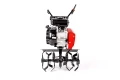 CEDRUSGL08_02.webp