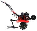 442.jpg