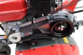 AnyConv.com__glebogryzarka_wm500+3.webp