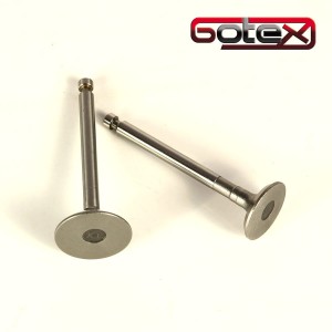 Zawory do silnika YANMAR L40 L48 oraz 170F Pezal, Kama, Kipor, Lifan