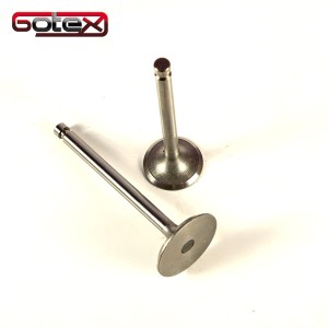 Zawory do silnika YANMAR YANMAR L100 oraz 186F Lifan, Bergo, Proton, Zipper, Barracuda