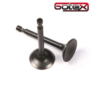 Zawory do silnika Honda GXV160