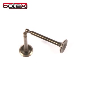 Zawory GX25